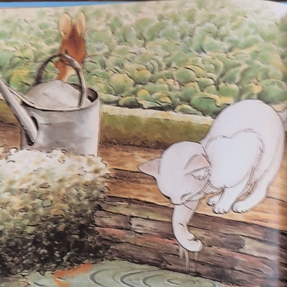 Peter Rabbit Hardcover Book - Picture 5 of 5